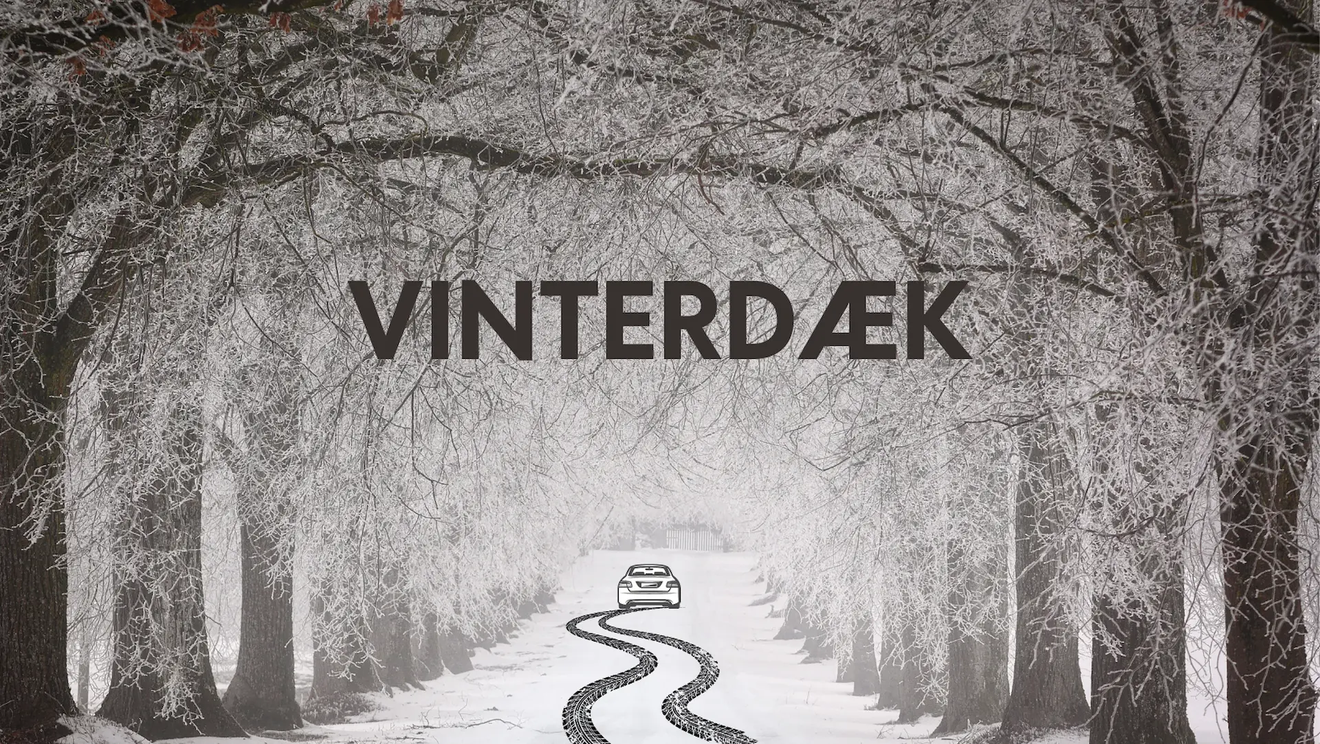 Vinterdæk